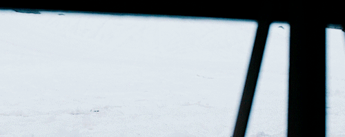cinemaspam:Wind River (2017)Dir. Taylor Sheridan