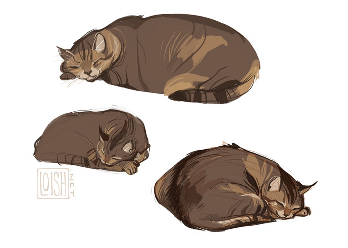 loish:kitty doodles. from life.