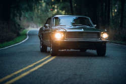 ford-mustang-generation:  Ford Mustang by zachproffitt on Flickr.