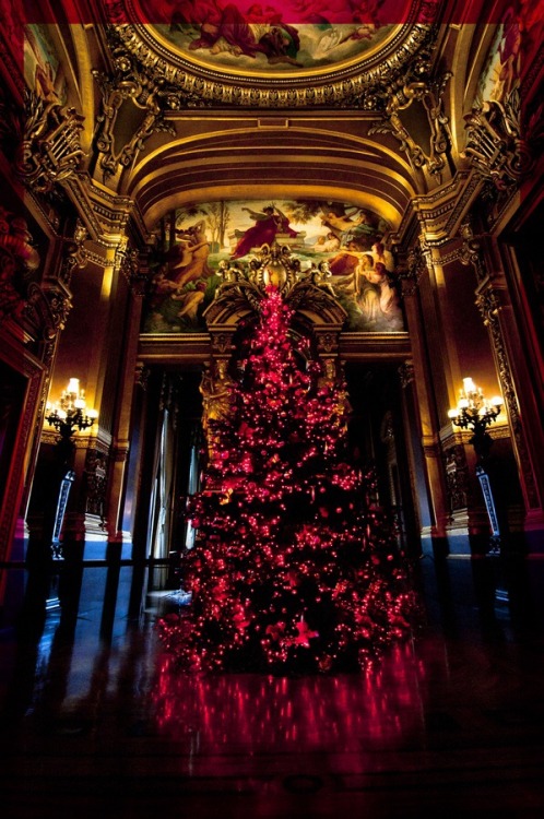 audreylovesparis: Christmas in Opera Garnier, Paris, France