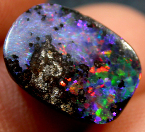 Porn photo mineralists:  Boulder Opal  pretty!