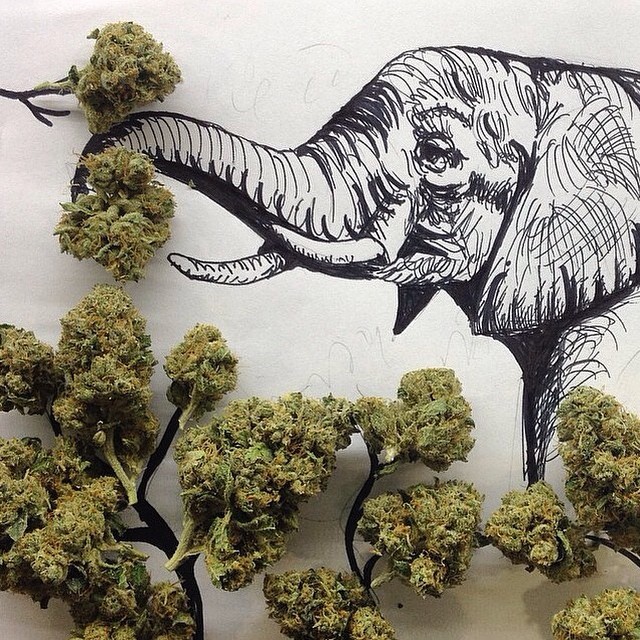 weedporndaily:  by thehighsociety http://ift.tt/1ALCshT 