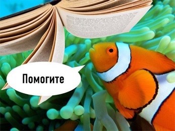 thottielamottie:  k so i made this new russian friend at school this week and we were talking about memes, you know, as one does, and she was telling me about this underground russian meme where its pics of fish reading and saying shit like “i cant