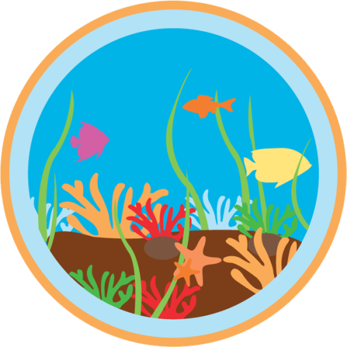 Lifescouts: Great Barrier Reef BadgeIf you have this badge, reblog it and share your story;If not, g