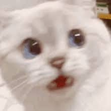 Tfw Your Friend Does A Screen Record W Your Voice In The Background And You Hear How Your Voice Has Changed