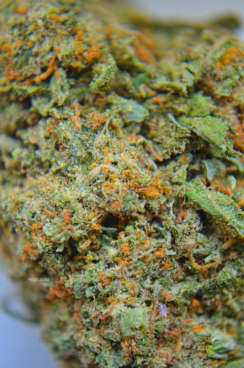 nickijuana:  Fruity macro Follow my tsu blog! (nickijuana) 