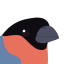 obsessivefinch