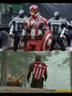 doctorwhofan777:  Given the Super Soldier Serum (Maple Syrup), Steve Rogers became Captain Canada, defending The wild Canadian wilderness from roving beavers and lumberjacks. 