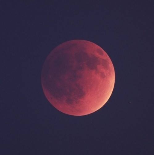 I love the moon