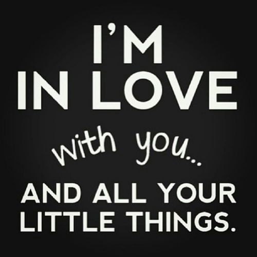 silly-luv:  ♡ find your best posts on my blog ♡