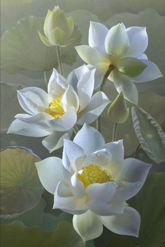 祖敷大輔 Explore Tumblr Posts And Blogs Tumgir