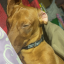beamoran1