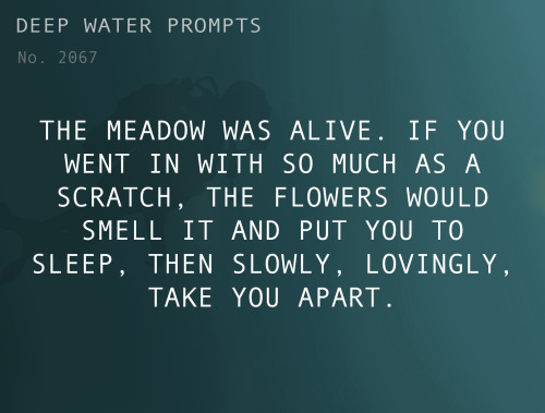 deepwaterwritingprompts:Text: The meadow was alive. If you went in with so much as a scratch, the fl