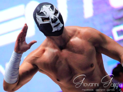 A Luchadork