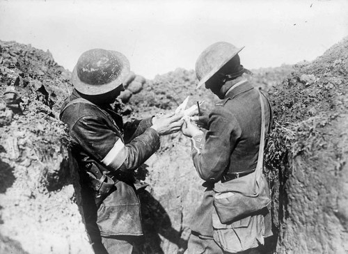 Britishtroops attach a message to a carrier pigeon on the Western Front(1917).