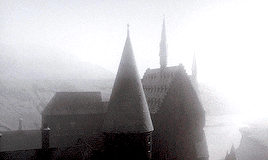 1d8ff4388bc3f726f0d37f0a85ffa8b7fa58e629.gif