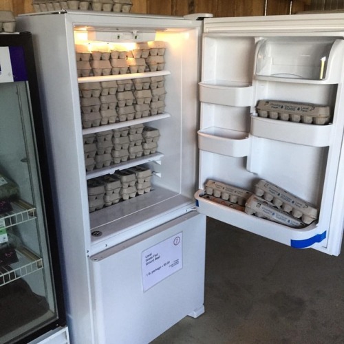 All stocked and ready! Fresh eggs from happy chickens. 4741 E Bethel Lane. - - - #fresheggs #pasture