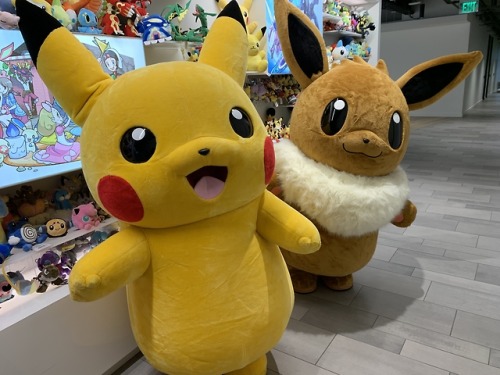 What’sthis?! Don’t look now, but Pikachu and Eevee have taken over the US Pokémon office tocelebrate