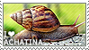 devstamps:snail stamps!!