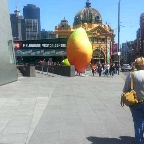 lokiisburdenedwithagloriousdick:  sweetcheeksaremadeofthese:  chloridecleansing:  shakespearwasaflirt:  allkillernofiller:  @spencerjamesmith SENT ME THIS??? IS THIS THE MANGO THAT WENT MISSING???? WHATS GOING ON  WHY IS THIS IN MELBOURNE WHAT???????