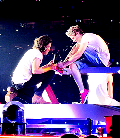 fyonedirection:  harry tying and kissing niall’s shoe | houston 