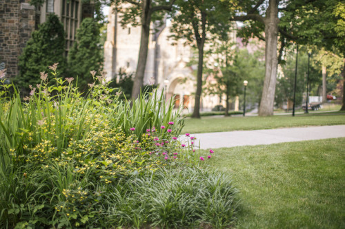 Outside Packard Lab. Goodnight Lehigh!