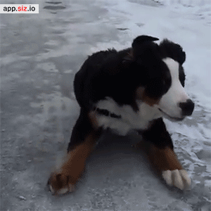 dom-wolfy:   Video  On my way to steal your girl.