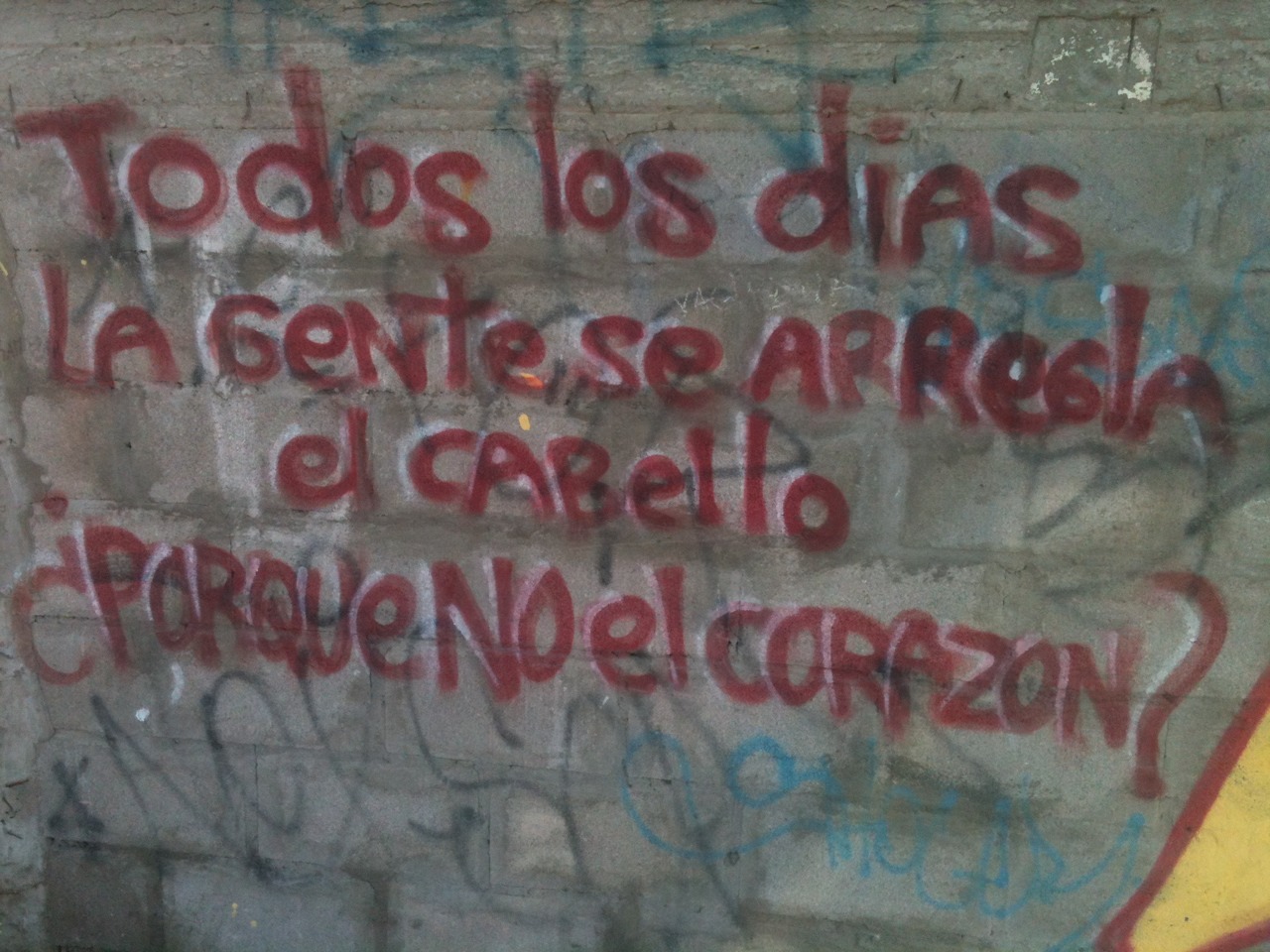 sonrisasfalsas:  Lo encontré por mi casa oum :c 