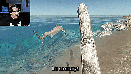 lionwanderer:  Markiplier vs Stranded Deep