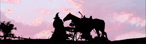 duirins:Middle-Earth Meme: six movies [4/6] → The Lord of The Rings: The Fellowship of The Ring