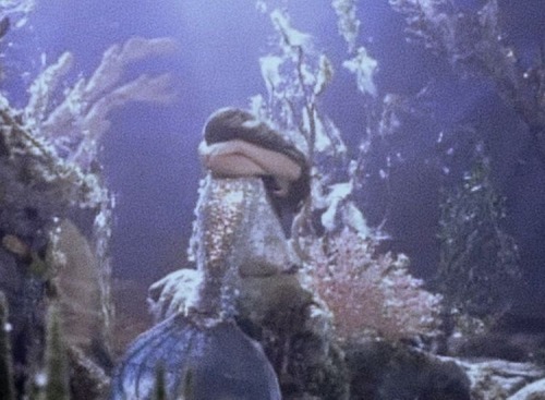 Sorry I Feel It Needs More Mermaids So Heres All The Mermaids You Need