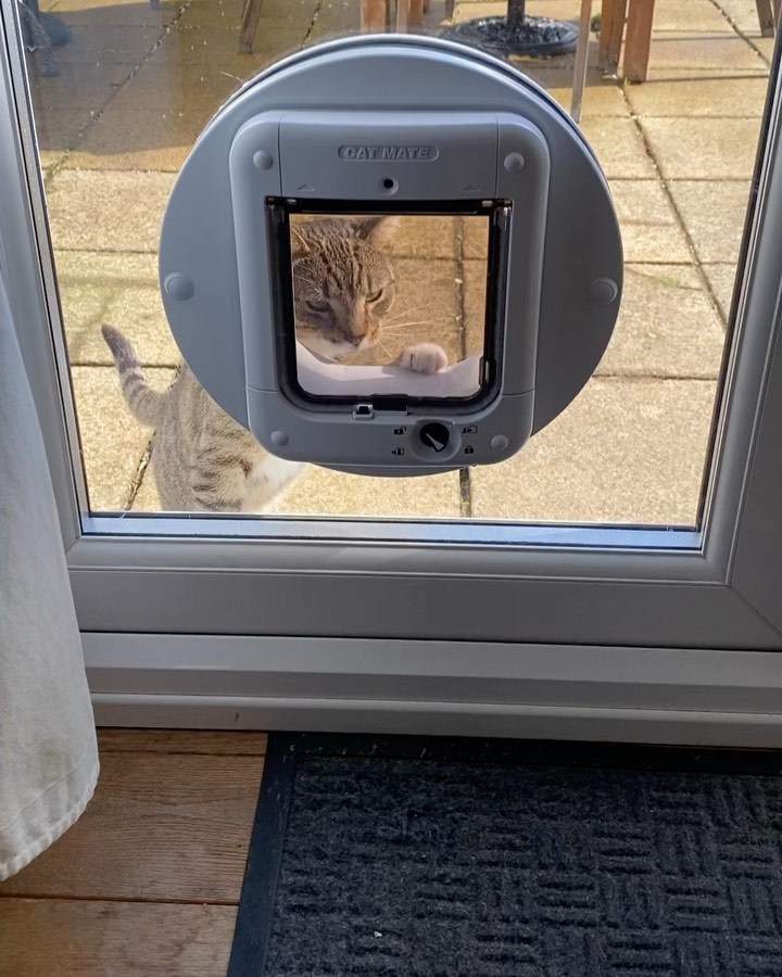 Clever boy! Donut 🍩 goes out & comes in. Free at last! (at Hanworth, Hounslow, United Kingdom)
https://www.instagram.com/p/CqLG7WfolOf/?igshid=NGJjMDIxMWI=