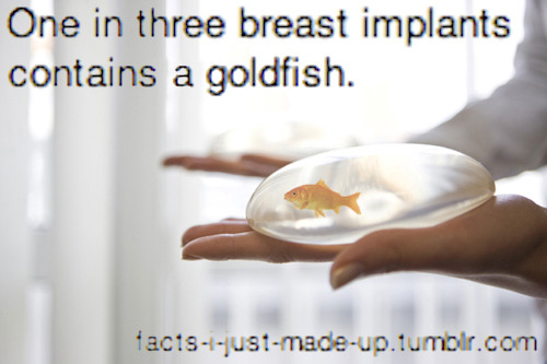 facts-i-just-made-up:im-the-kindest-demon:facts-i-just-made-up:theogmermaid:How do you feed it??With