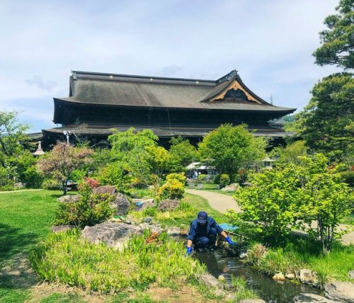＼おにわさん更新情報／ ‪[ 長野県長野市 ] 善光寺東庭園 Zenko-ji Temple East Garden, Nagano の写真・記事を更新しました。 ――“善光寺参り”で知られる長野の観