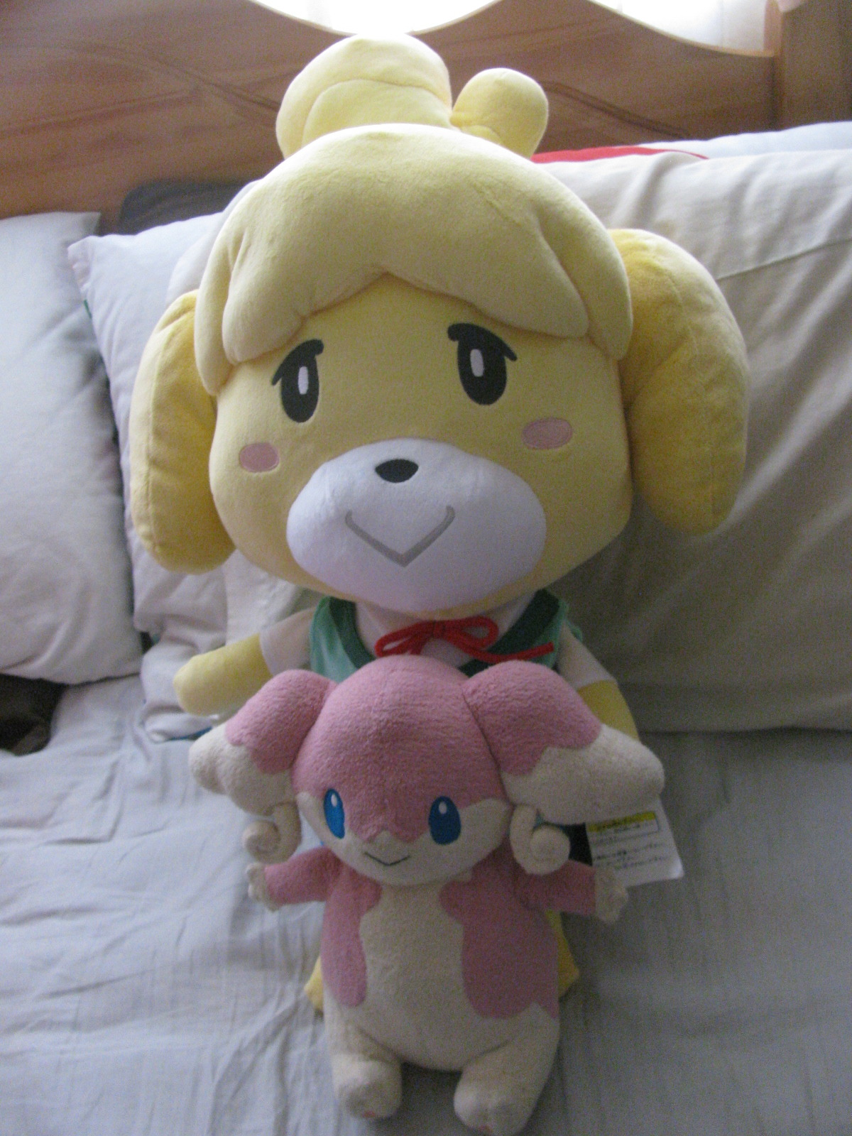 and a big goodie my dad got me size comparison with bunne