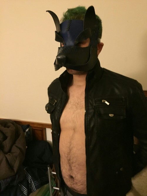 bimasterdax:My playful pup wearing my leather adult photos