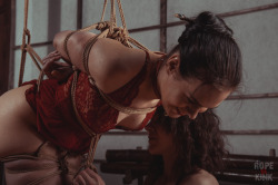 tied-yuno:  Watch full set | Watch all gifs  | Watch all weekly videos | Support more projects Ropes by @tied-yuno   Rope-n-Kink Studio: patreon.com/yuno 