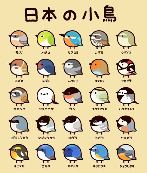 tanuki-kimono: Nihon no kotori (Japanese small birds), cute helpful chart by @T_marohiko listing the