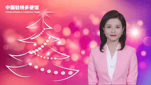 Multilingual AI news presenter broadcasts New Year’s Greeting on behalf of Chinese Embassy in 