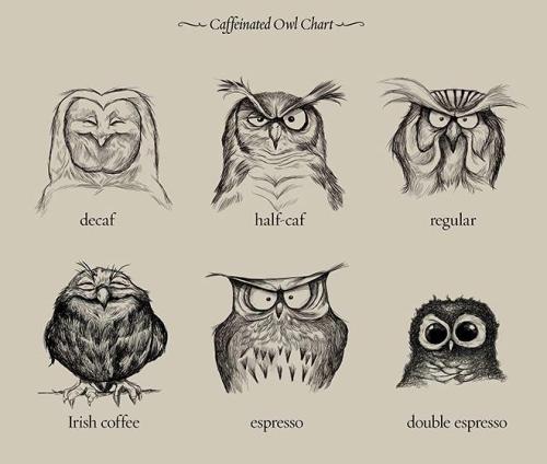 fuckyeahvikingsandcelts:Caffeinated Owl Chart