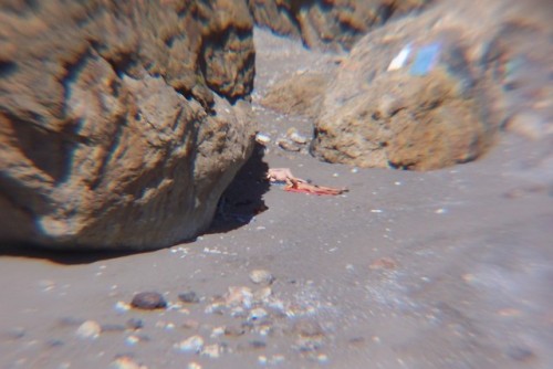 May 2018 - further views of nude Ilingas cove (Hora Sfakion)