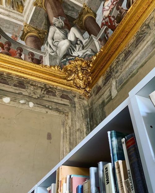 University of Genoa: library of the Faculty of Literature and Philosophy.The library is located in t