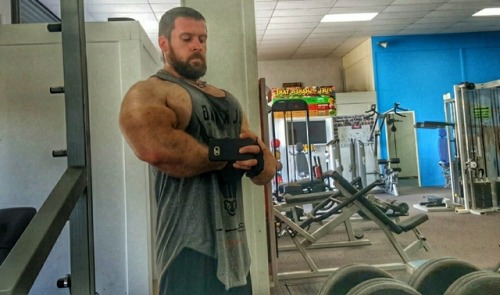 beastpup:  Sweaty gym bull!