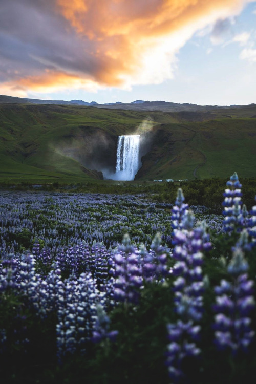 lsleofskye:  Summer in the Arctic is pure magic |  sarah.bethea