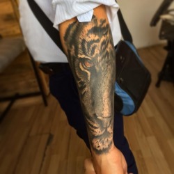 💀✖️tatuaje de medio rostro de tigre