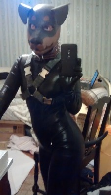 ipecacandcivetoil:  LOOK AT THE STATE MY ROOM IS IN, GOOD LORD LOVE A MOTHER DUCK was being Dog for someone tonight, so i thought, why not pup selfies? it isn’t often i’m in full gear, and i’d never worn my woofy tail through the zipper on my body