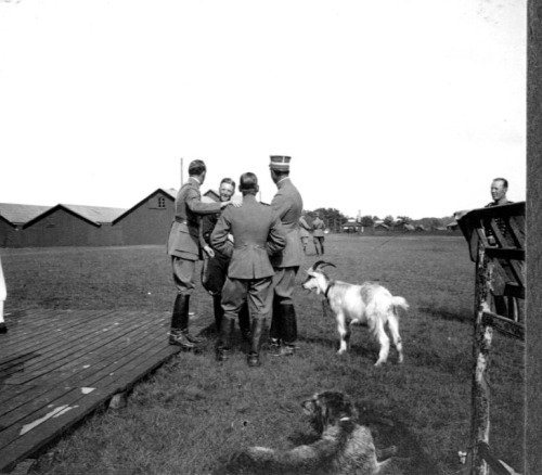 vintage-sweden: Unknown men and a goat named Jakob, 1931, Sweden.