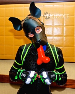 puphoodie:  Rubber Hoodie has a bone!Find