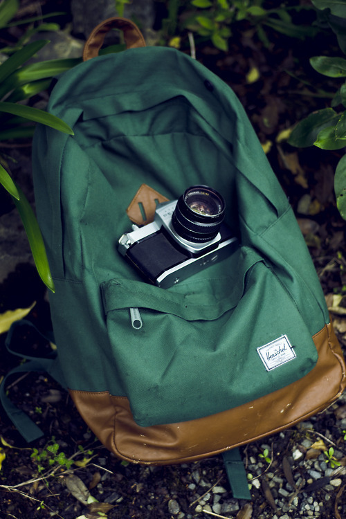 all-vintage-addiction:  ∆
