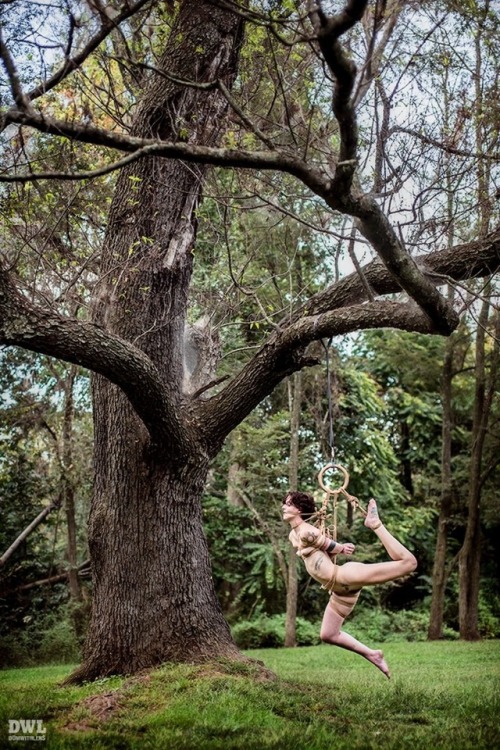 camdamage: Our hanging tree 🌿🍃  rope/photo by DWL of @cubicletocollar  